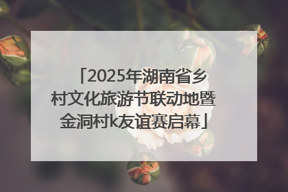 2025年湖南省乡村文化旅游节联动地暨金洞村k友谊赛启幕