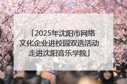 2025年沈阳市网络文化企业进校园双选活动走进沈阳音乐学院
