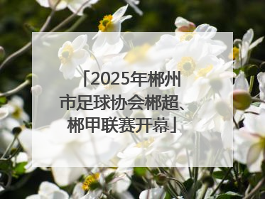 2025年郴州市足球协会郴超、郴甲联赛开幕
