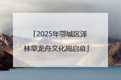 2025年鄂城区泽林旱龙舟文化周启幕