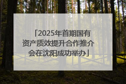 2025年首期国有资产质效提升合作推介会在沈阳成功举办