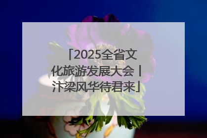 2025全省文化旅游发展大会丨汴梁风华待君来