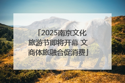 2025南京文化旅游节即将开幕 文商体旅融合促消费