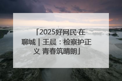 2025好网民·在聊城｜王晨：检察护正义 青春筑晴朗