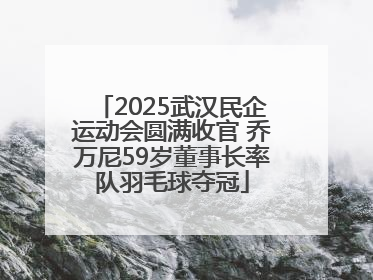2025武汉民企运动会圆满收官 乔万尼59岁董事长率队羽毛球夺冠