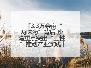 3.3万余亩“两味药”背后 沙湾重点突出“三性”推动产业实践丨新闻发布最前线