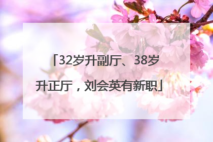32岁升副厅、38岁升正厅，刘会英有新职