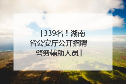 339名！湖南省公安厅公开招聘警务辅助人员