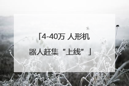 4-40万 人形机器人赶集“上线”