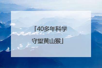 40多年科学守望黄山猴