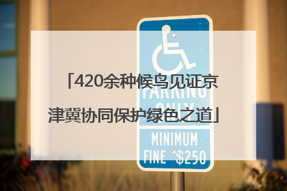 420余种候鸟见证京津冀协同保护绿色之道