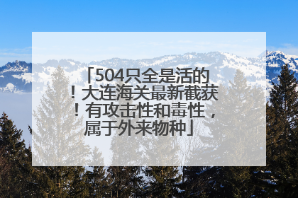504只全是活的！大连海关最新截获！有攻击性和毒性，属于外来物种