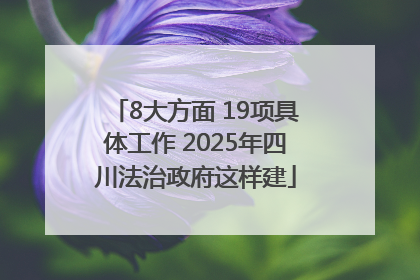 8大方面 19项具体工作 2025年四川法治政府这样建