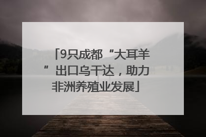 9只成都“大耳羊”出口乌干达，助力非洲养殖业发展