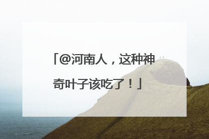 @河南人，这种神奇叶子该吃了！