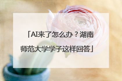 AI来了怎么办？湖南师范大学学子这样回答
