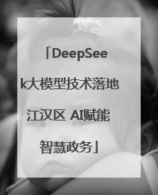 DeepSeek大模型技术落地江汉区 AI赋能智慧政务