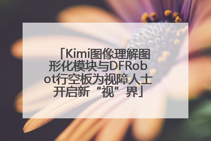 Kimi图像理解图形化模块与DFRobot行空板为视障人士开启新“视”界