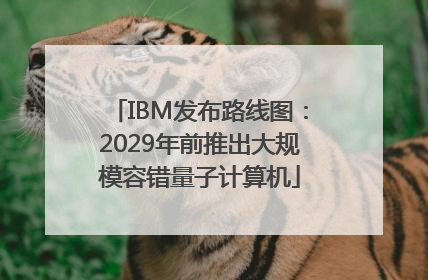 IBM发布路线图：2029年前推出大规模容错量子计算机