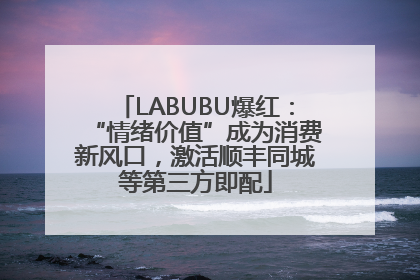 LABUBU爆红：“情绪价值”成为消费新风口，激活顺丰同城等第三方即配