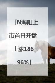 N海阳上市首日开盘上涨186.96%